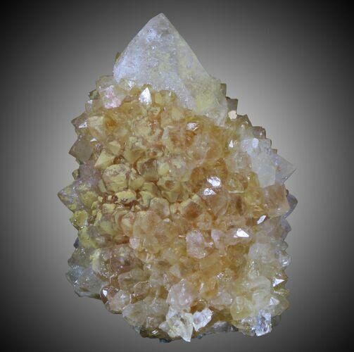 Orange Cactus Quartz Crystal - South Africa #33919